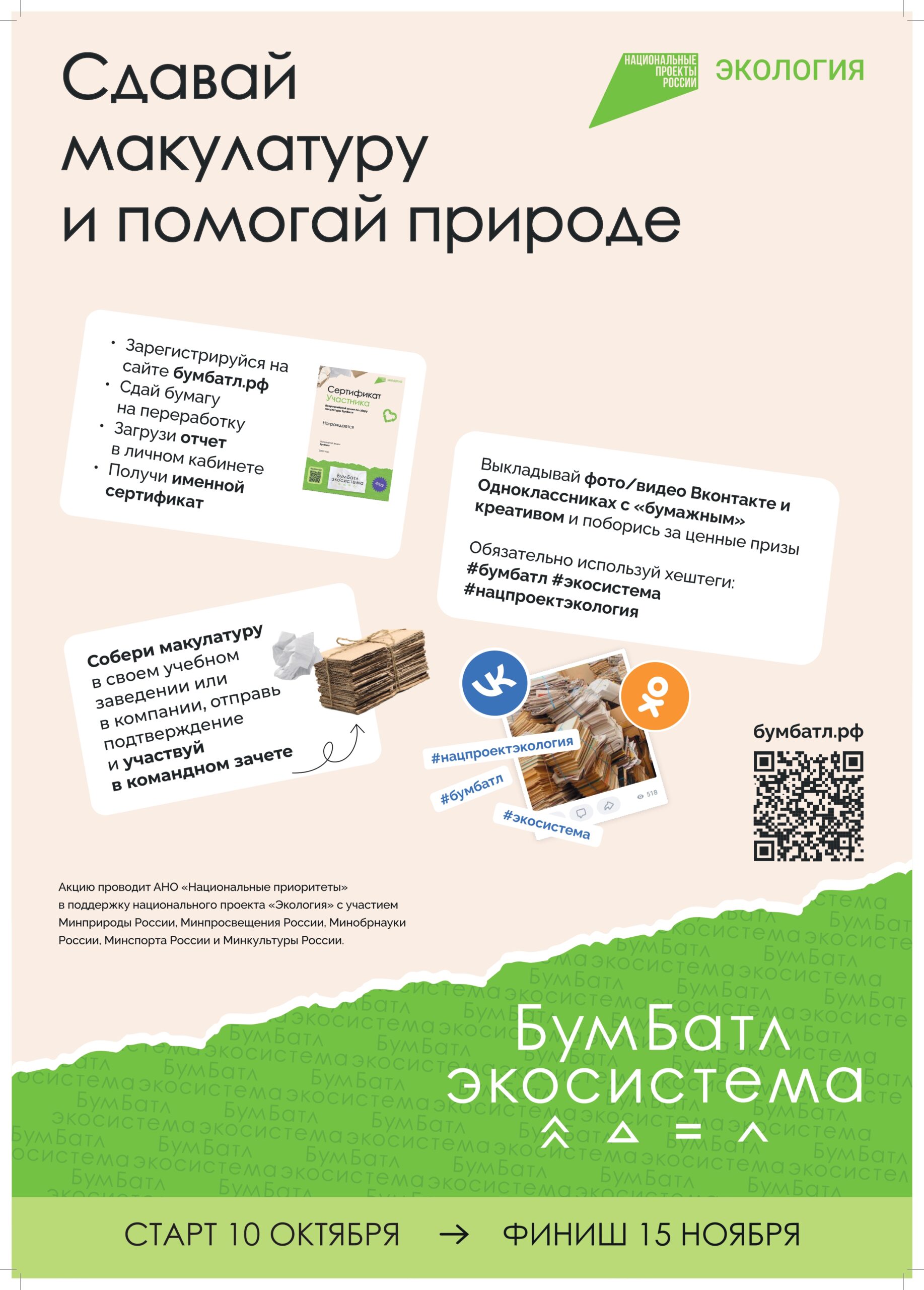БумБаттл экосистема.